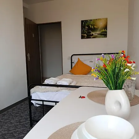Apartment M Timisoara