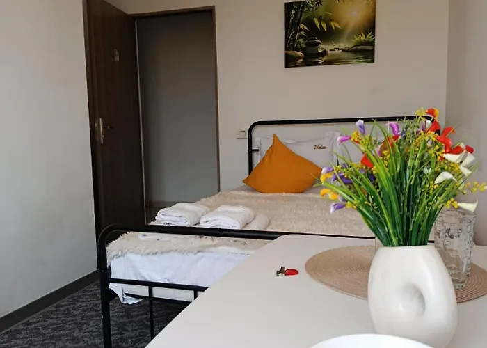 Lägenhet M Timişoara